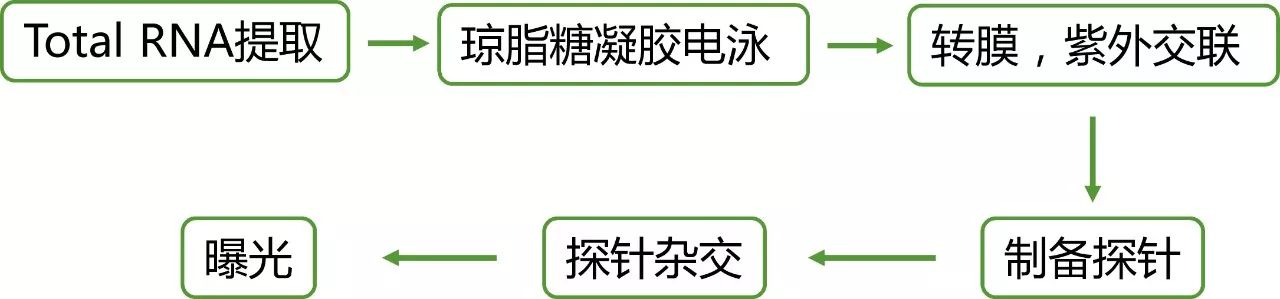 高通量测序结果全方位验证策略