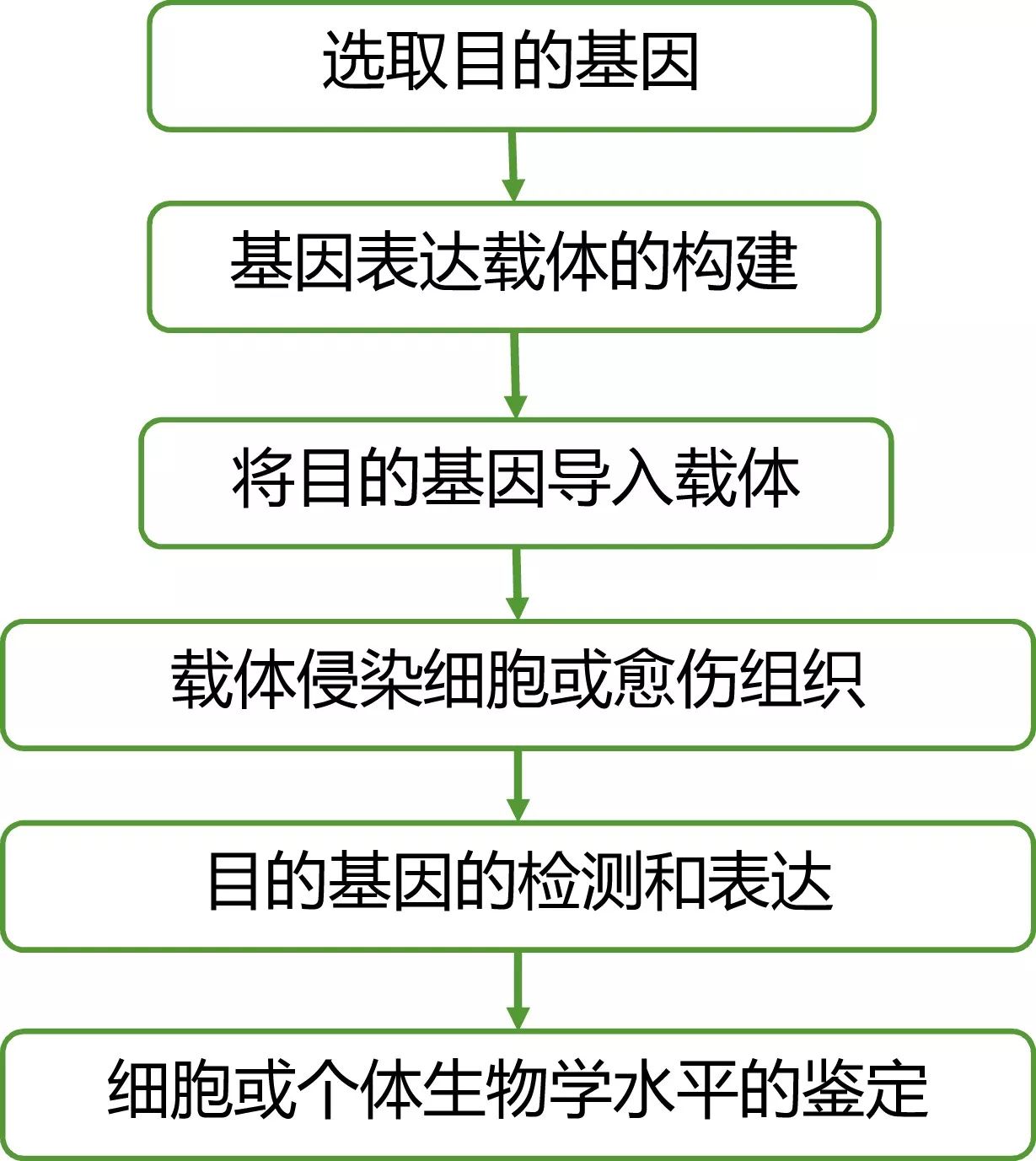 高通量测序结果全方位验证策略 高通量测序结果全方位验证策略