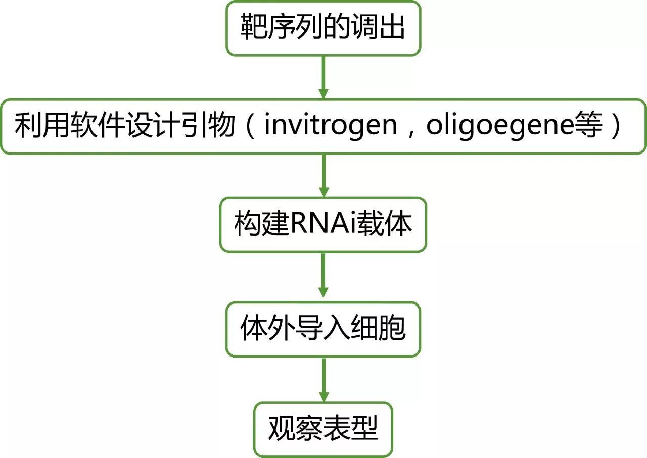 高通量测序结果全方位验证策略 高通量测序结果全方位验证策略