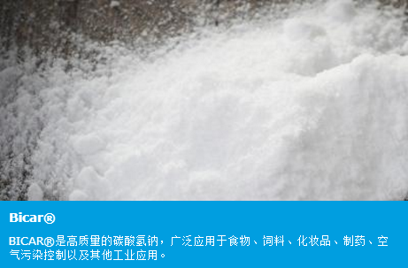 索尔维（比利时）