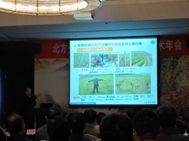 蚕桑创新团队专家李法德教授受邀参加北方蚕业科研协作区第二十九届学术年会 蚕桑创新团队专家李法德教授受邀参加北方蚕业科研协作区第二十九届学术年会
