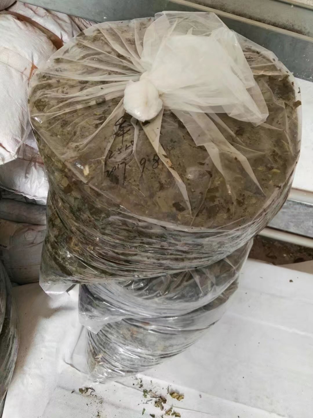 饲料桑青贮试验 饲料桑青贮试验