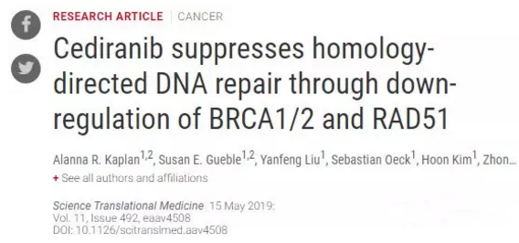 耶鲁科学家确定抗癌药如何抑制癌细胞的DNA修复