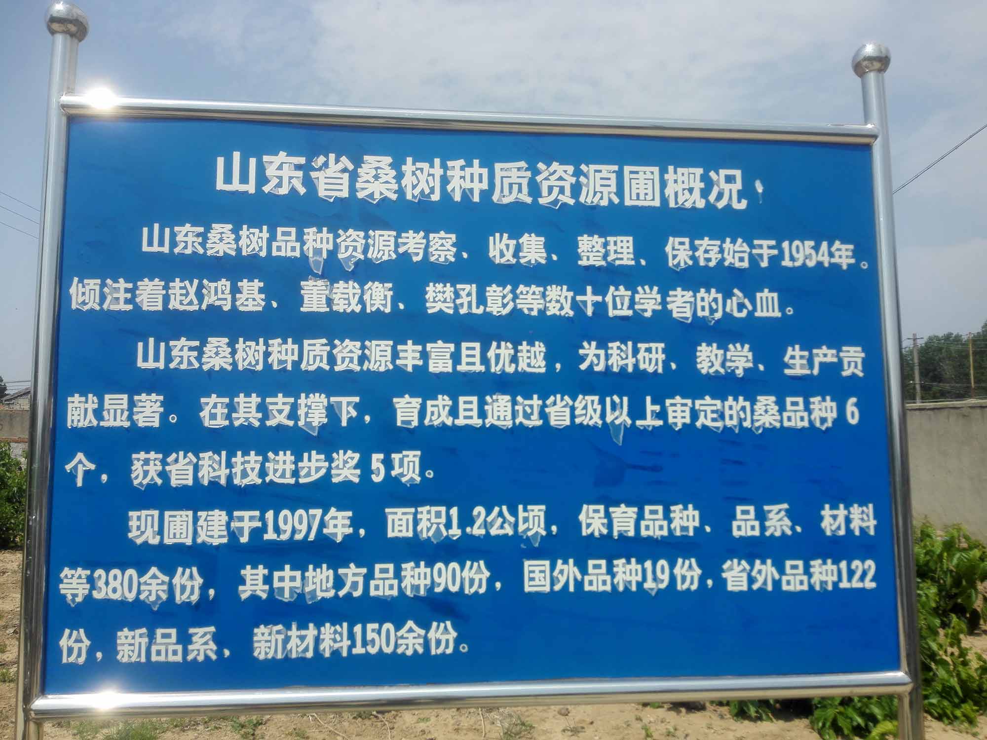 桑树种质资源圃简介 桑树种质资源圃简介