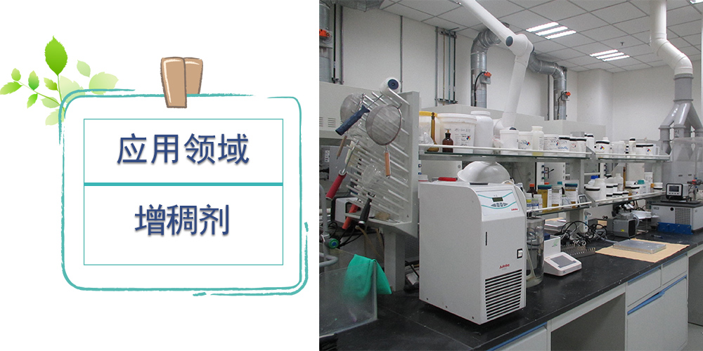 增稠剂 Rohagit SD 9523 英国昕特玛