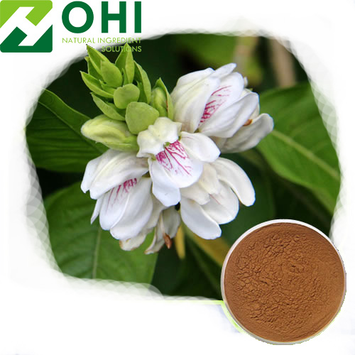 Adhatoda Vasica Extract