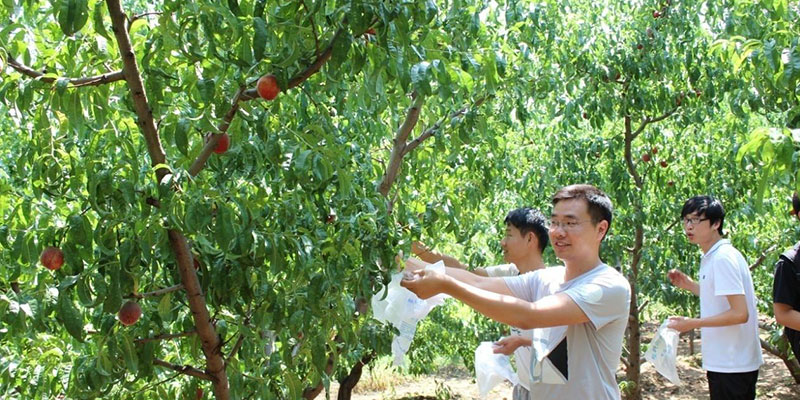 公司举办夏季自驾游活动 公司举办夏季自驾游活动