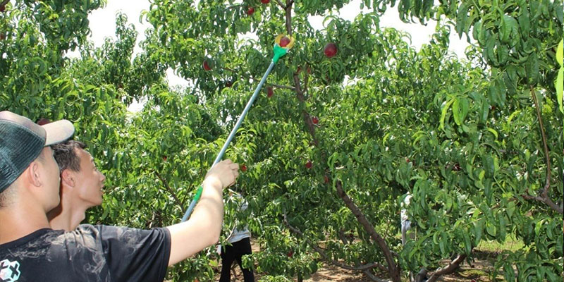 公司举办夏季自驾游活动 公司举办夏季自驾游活动