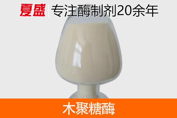 木聚糖酶