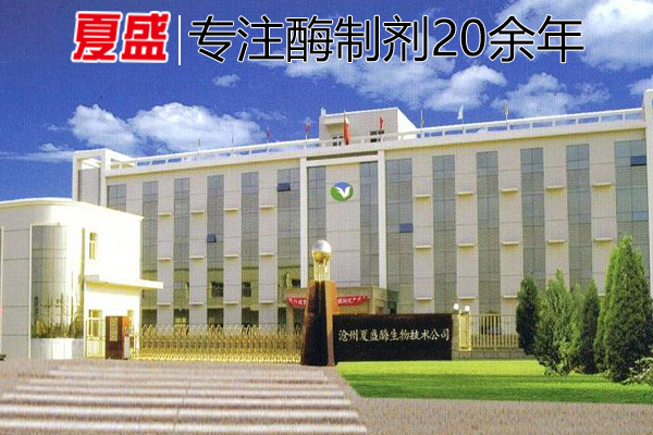 夏盛酶制剂 夏盛酶制剂