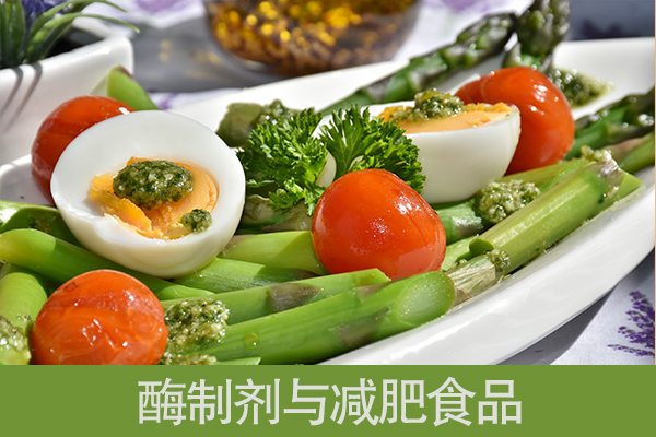 酶制剂与减肥