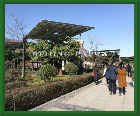  Shiyi Technique Company:The first  photovoltaic tree theme park in China opened in Gongyi.