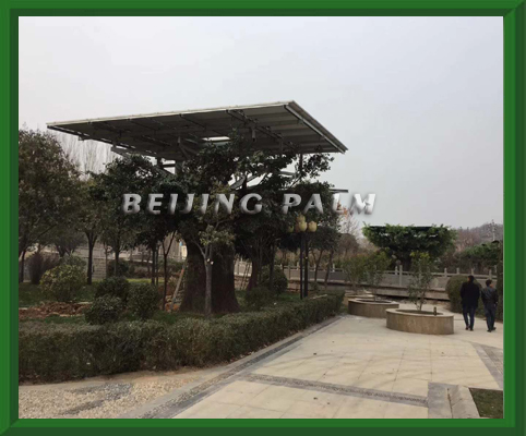  Shiyi Technique Company:The first  photovoltaic tree theme park in China opened in Gongyi.
