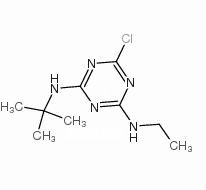 特丁津 特丁津