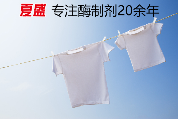 加酶洗衣粉 加酶洗衣粉
