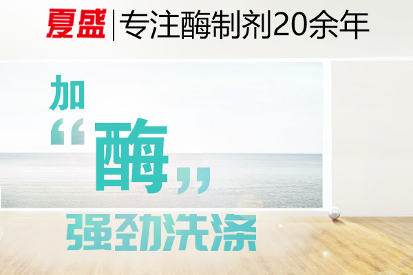 加酶洗衣粉 加酶洗衣粉