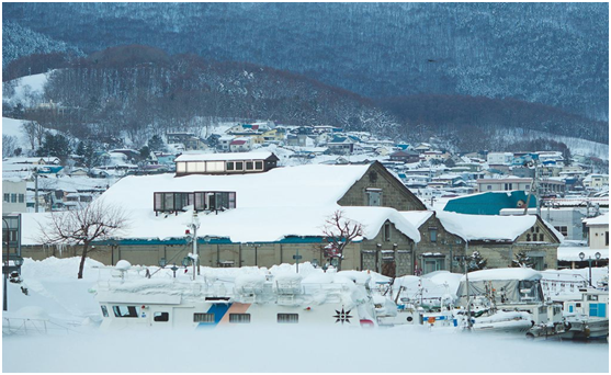 這個冬天 去北海道看雪