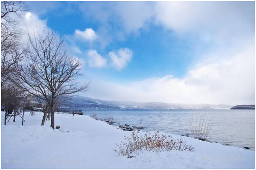 這個冬天 去北海道看雪