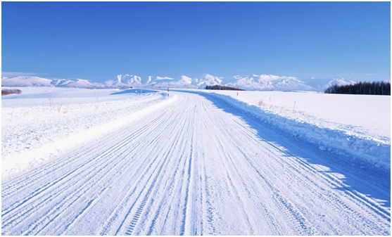 這個冬天 去北海道看雪