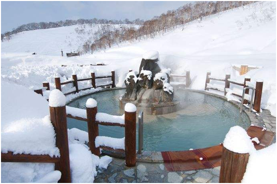 這個冬天 去北海道看雪