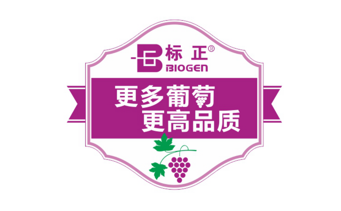 标正 更多葡萄 更高品质