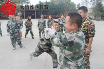 执行力培训项目:压力木板 执行力培训项目:压力木板