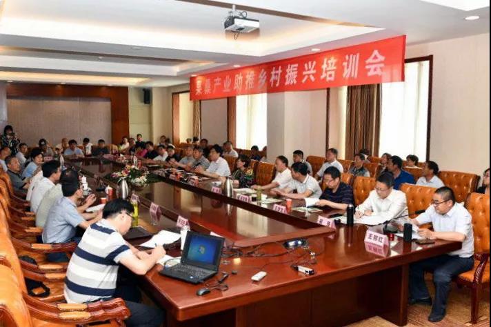 这种树全身都是宝,一棵长成大产业 这种树全身都是宝,一棵长成大产业