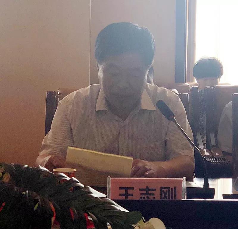 这种树全身都是宝,一棵长成大产业 这种树全身都是宝,一棵长成大产业