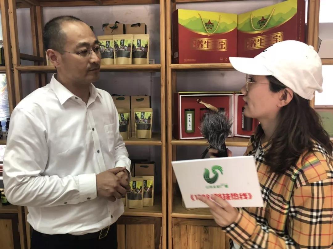 这种树全身都是宝,一棵长成大产业 这种树全身都是宝,一棵长成大产业
