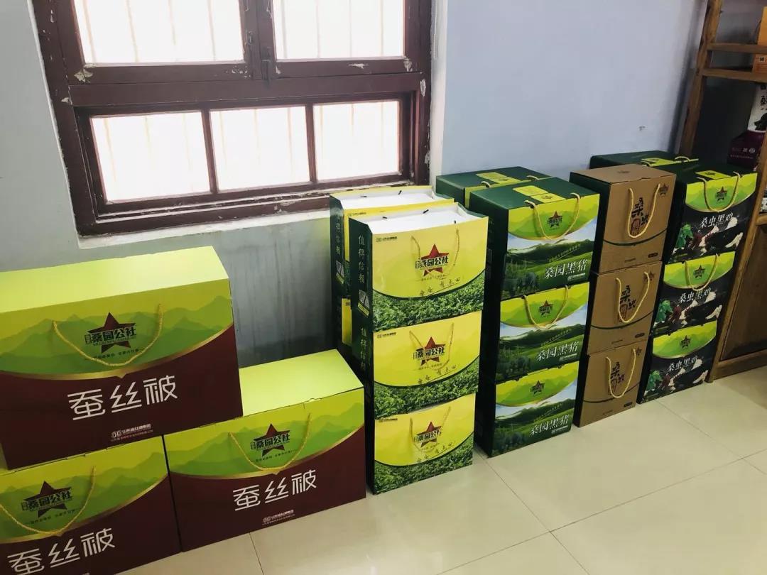 这种树全身都是宝,一棵长成大产业 这种树全身都是宝,一棵长成大产业