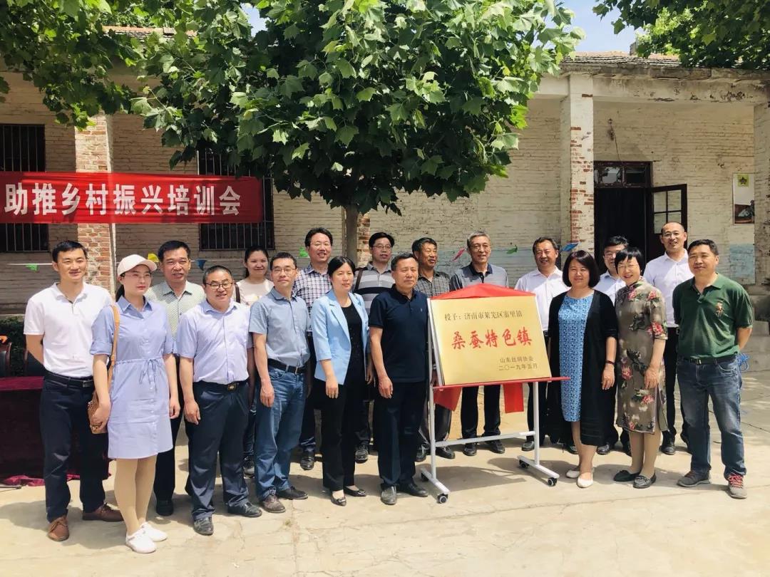 这种树全身都是宝,一棵长成大产业 这种树全身都是宝,一棵长成大产业