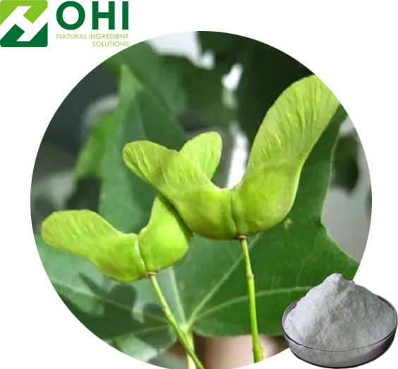 Acer Truncatum seed extract