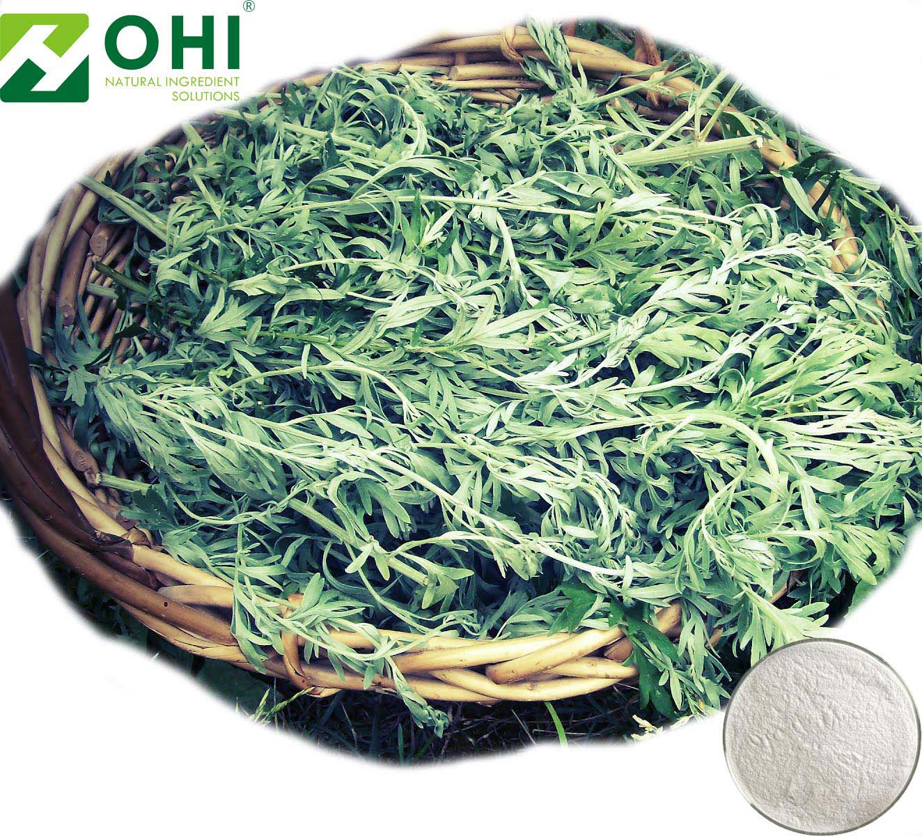 Artemisia annua extract
