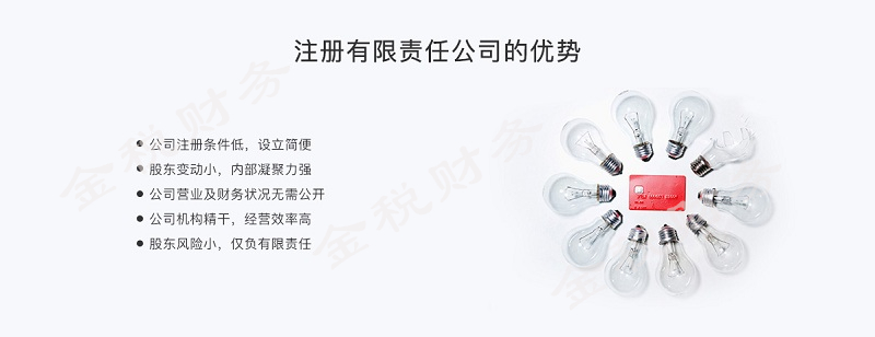 公司登记注册 公司登记注册