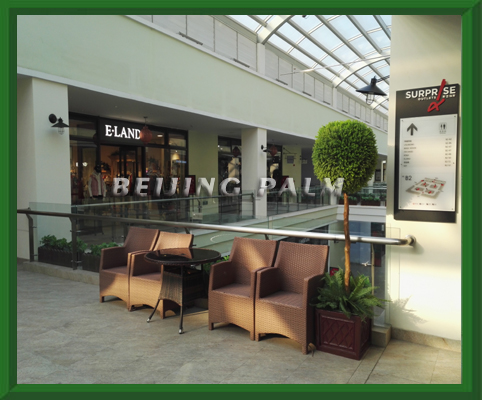 We just finished the landscaping project in Sipuruisi Outlets Mall in Chaoyang Dis,Beijing.