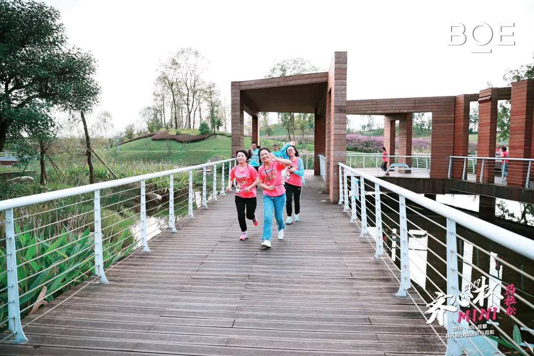 齊心杯2019·BOE成都環(huán)天府公園MINI馬拉松