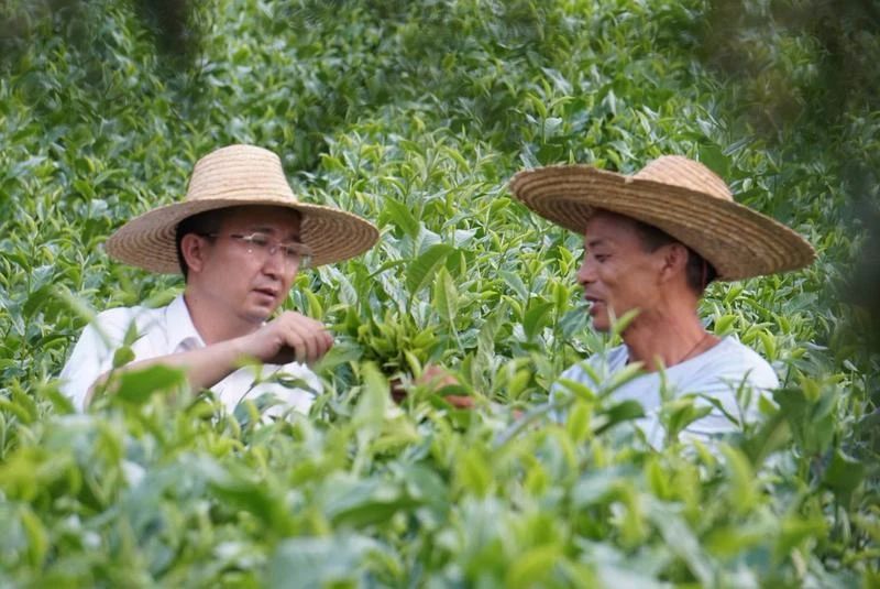 第一书记 | 张伟：要留下一支永不撤走的“扶贫队”