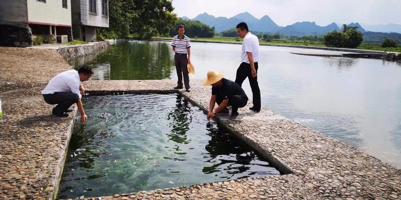 第一书记 | 张伟：要留下一支永不撤走的“扶贫队”