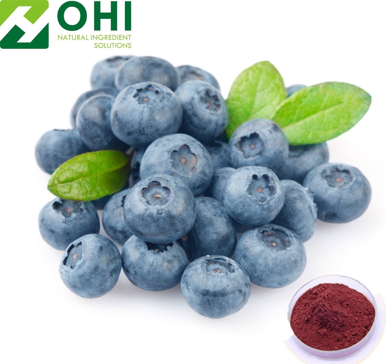 blueberry extract