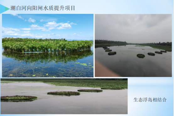 水环境提升与维护