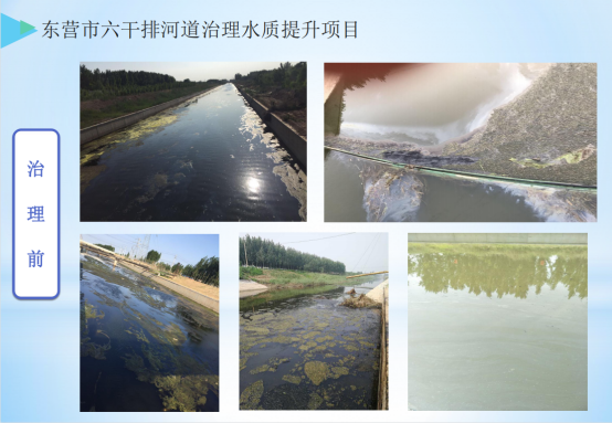 水环境提升与维护