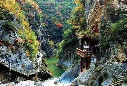 笨鸟分享丨通往“梦中的风景”之路 笨鸟分享丨通往“梦中的风景”之路