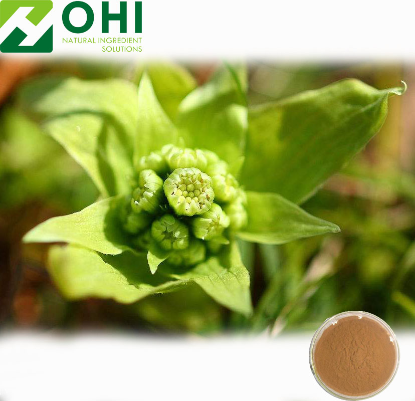 Butterbur Extract Petasites