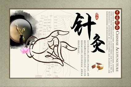 中醫(yī)針灸學(xué)