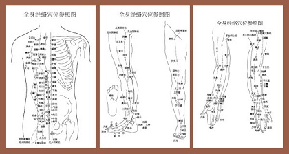 中醫(yī)針灸學(xué)