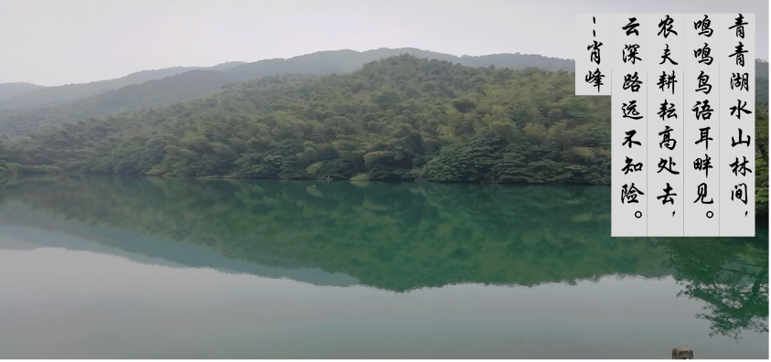 鹰击长空,破晓新旸——记鹰旸生物公司团建活动之上青古道毅行 鹰击长空,破晓新旸——记鹰旸生物公司团建活动之上青古道毅行