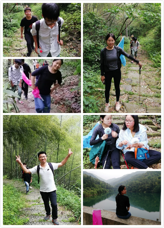 鹰击长空,破晓新旸——记鹰旸生物公司团建活动之上青古道毅行 鹰击长空,破晓新旸——记鹰旸生物公司团建活动之上青古道毅行