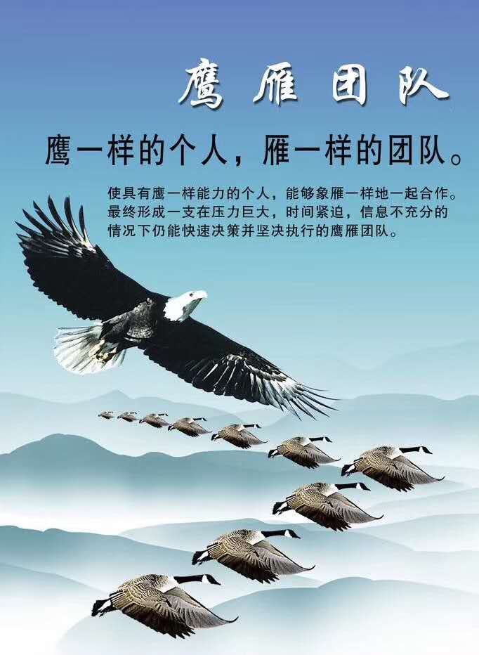 鹰击长空,破晓新旸——记鹰旸生物公司团建活动之上青古道毅行 鹰击长空,破晓新旸——记鹰旸生物公司团建活动之上青古道毅行
