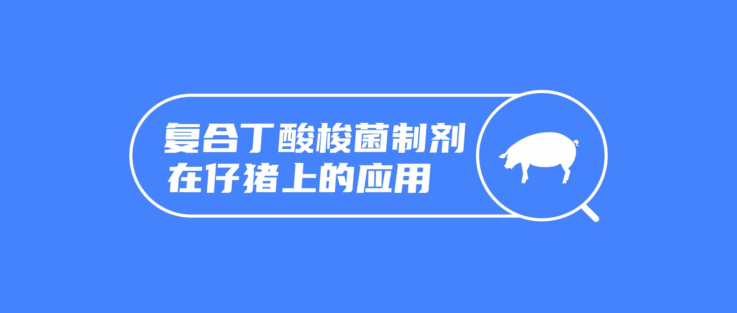 淺談復(fù)合丁酸梭菌制劑在仔豬上的應(yīng)用