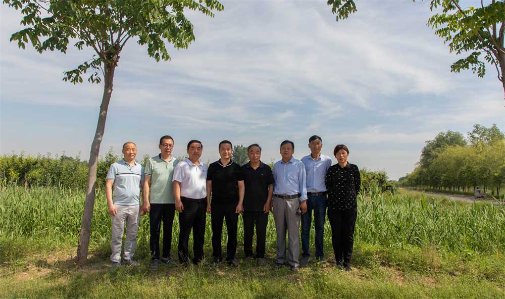 梨膏项目更进一步!湖北李时珍中医药控股集团赴砀山县实地考察交流! 梨膏项目更进一步!湖北李时珍中医药控股集团赴砀山县实地考察交流!